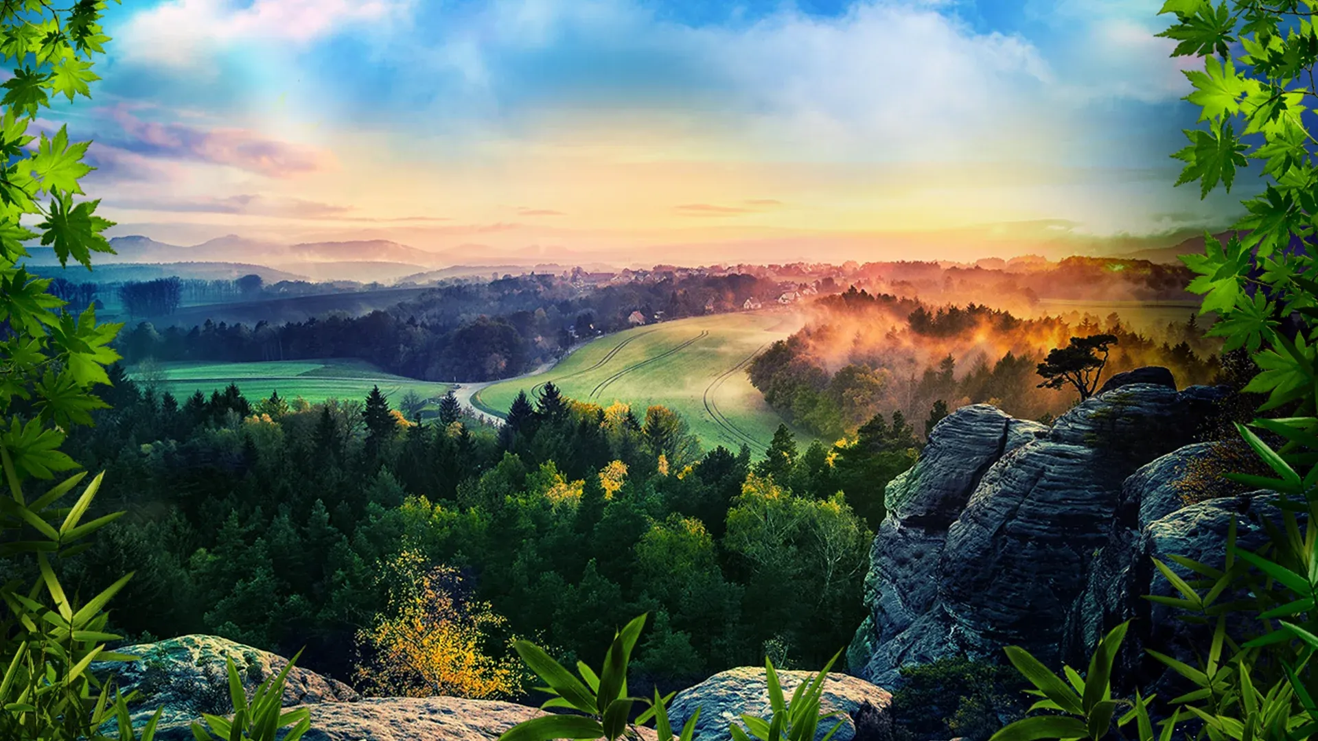 background-image