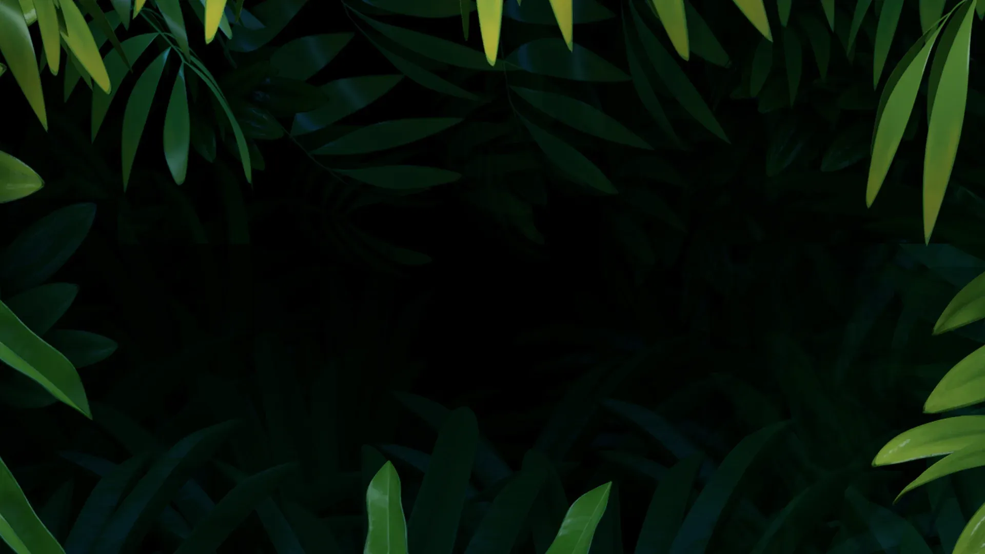 background-image