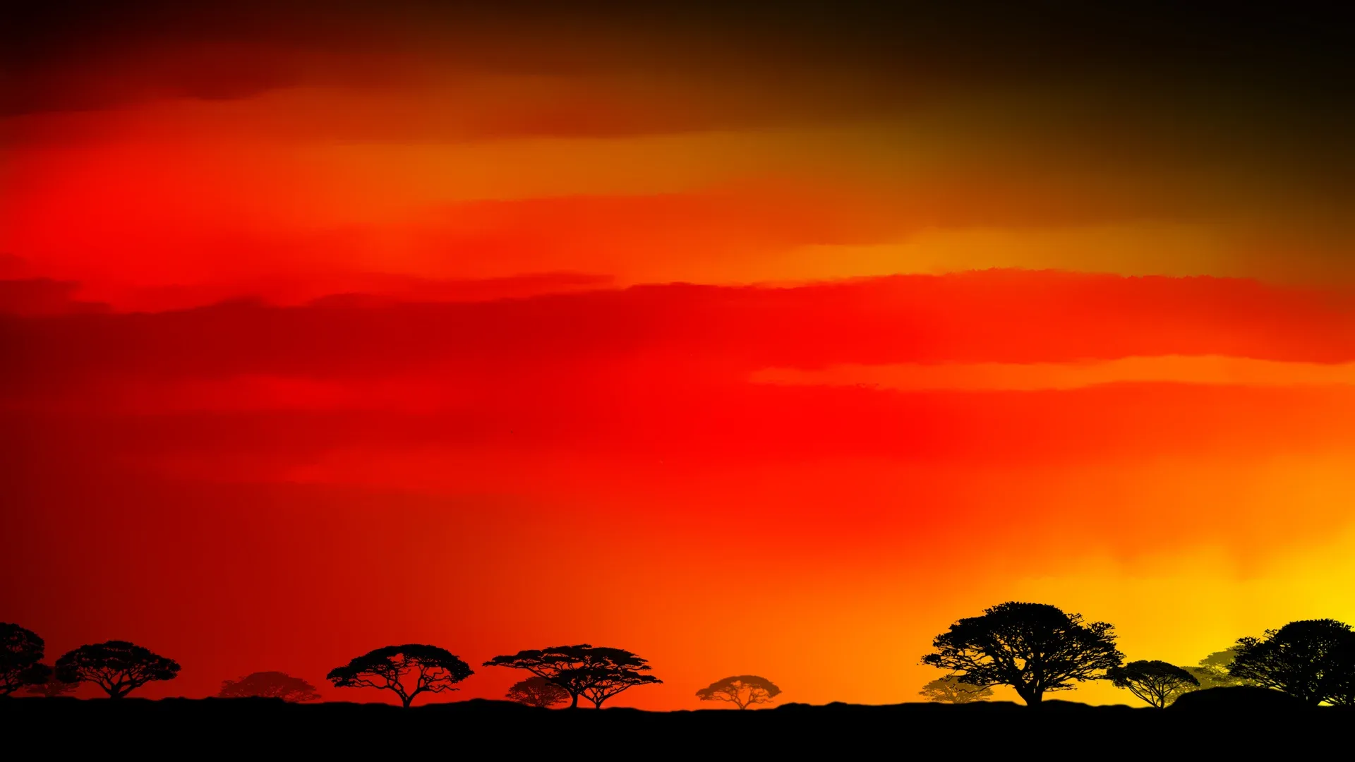 background-image