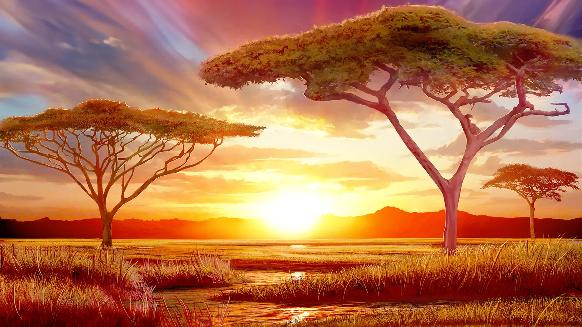 background-image