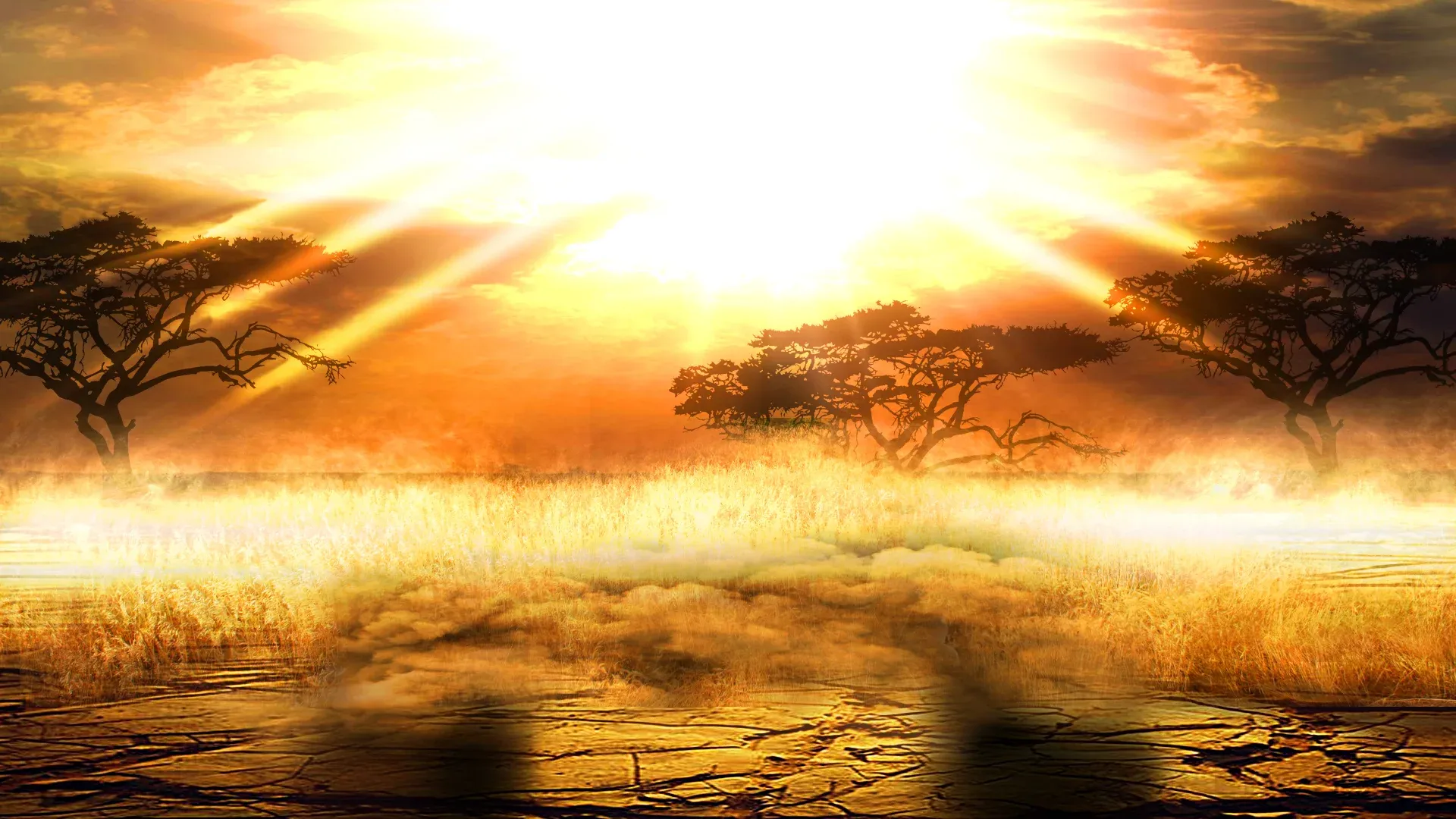 background-image