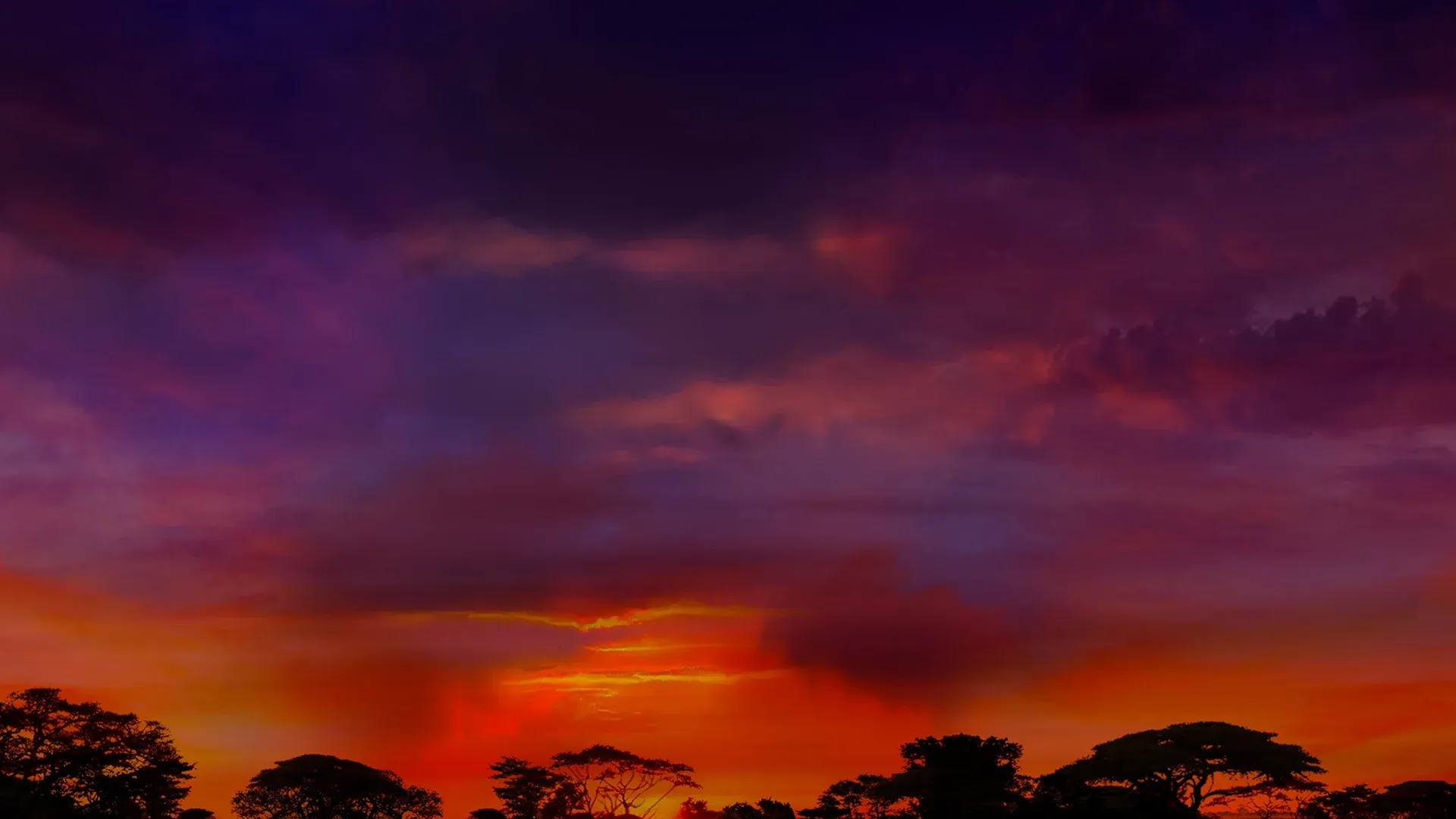 background-image
