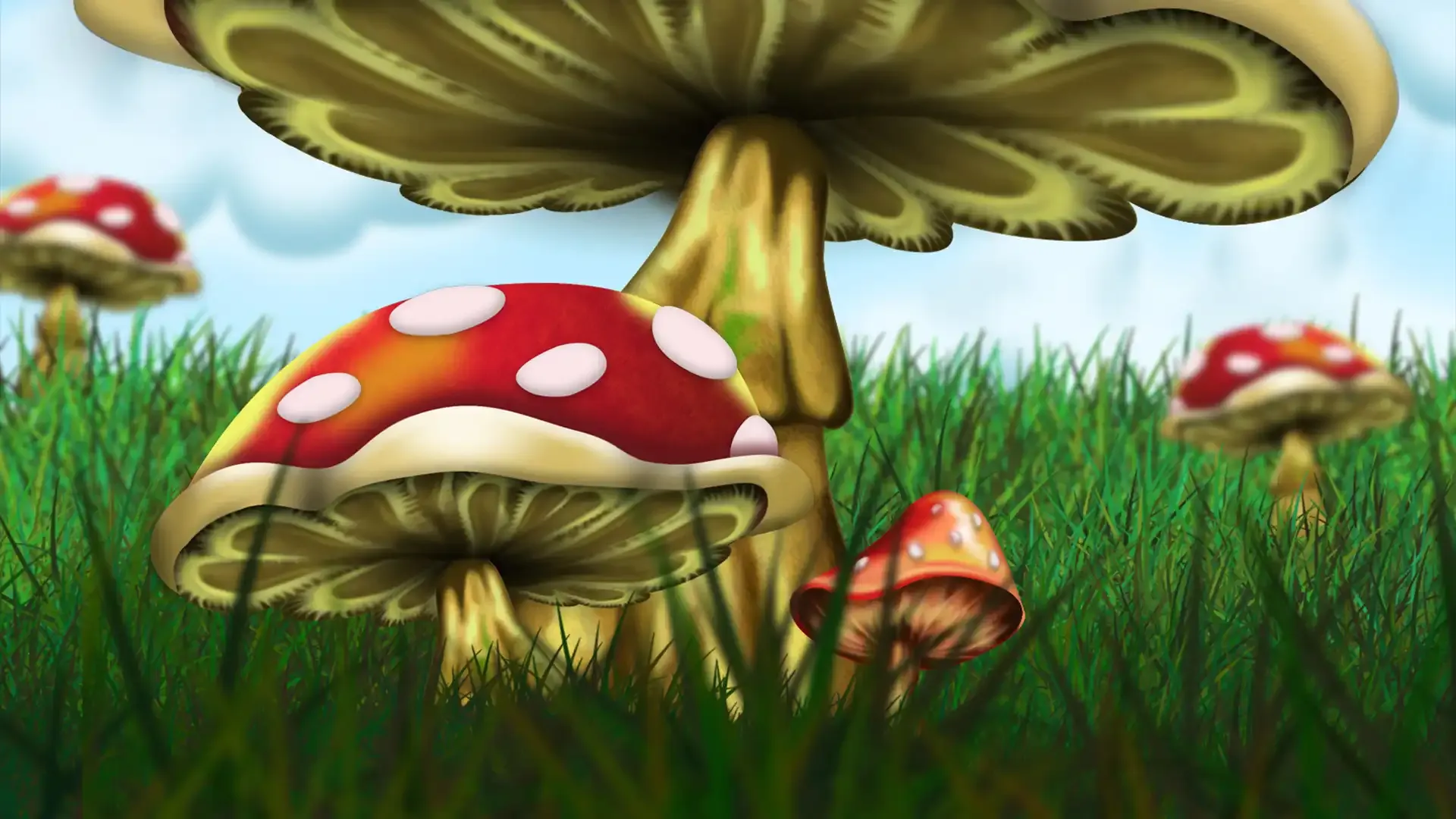 background-image