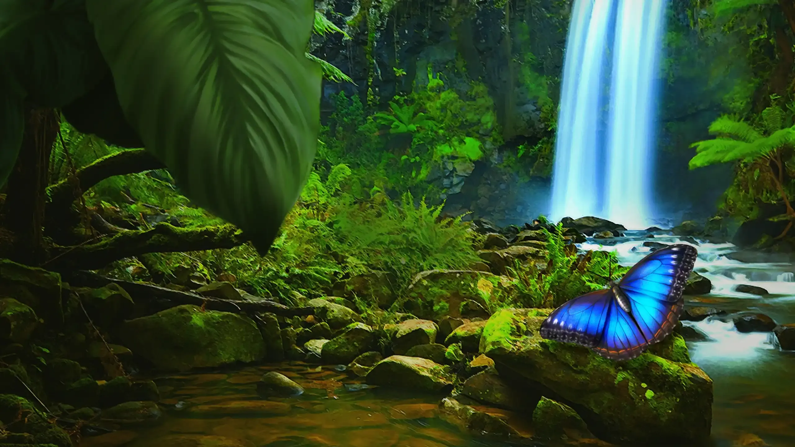 background-image