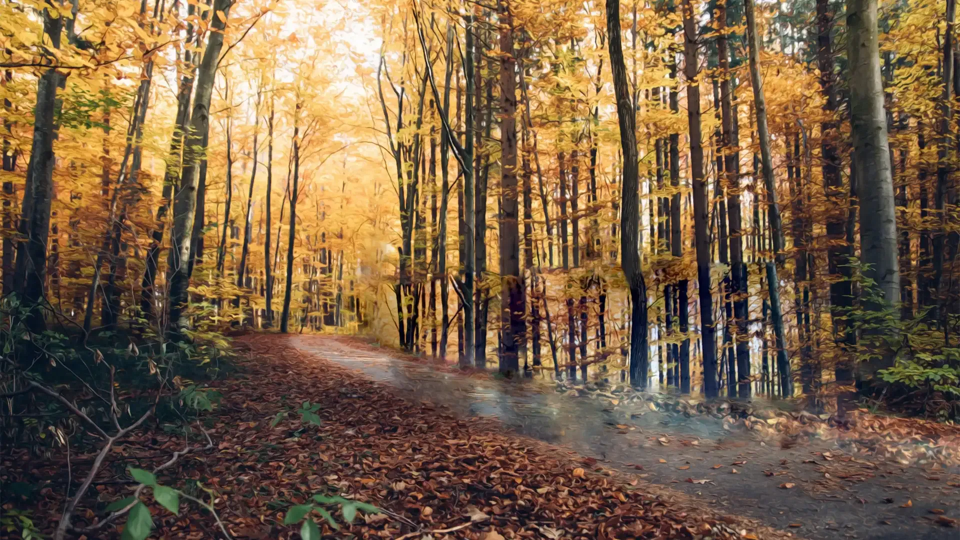 background-image