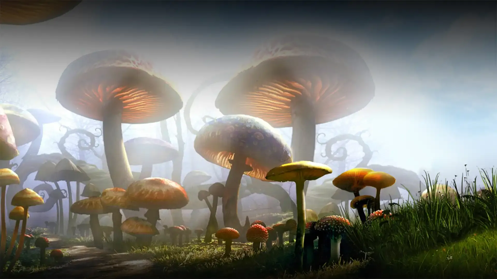 background-image