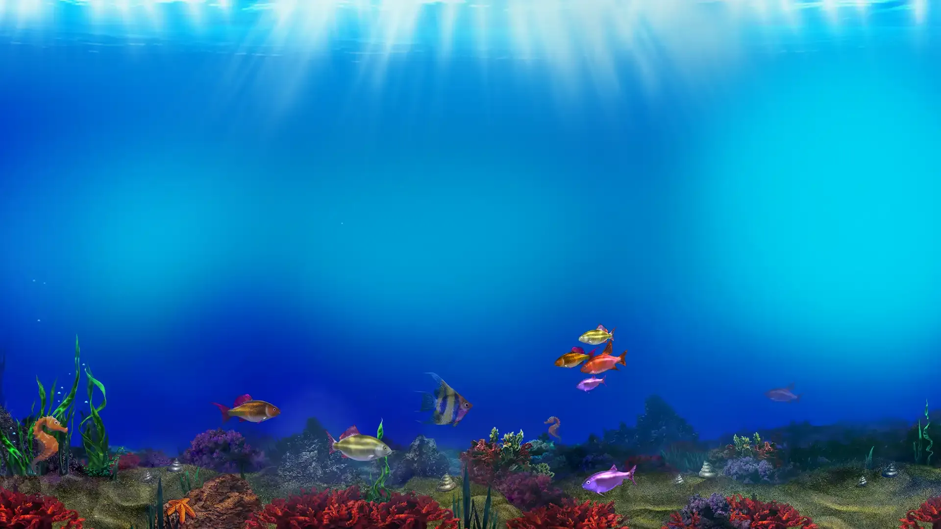 background-image